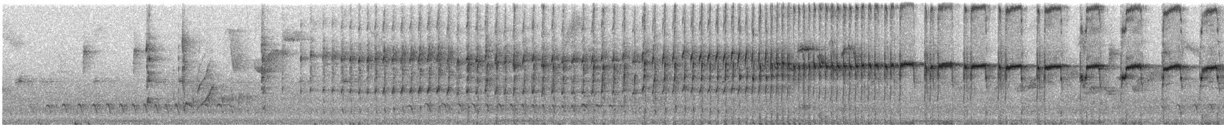 Olivrücken-Baumschlüpfer (antisiensis/palamblae) - ML241563