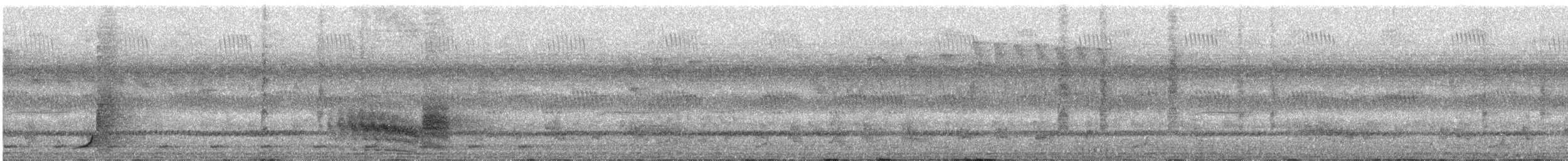 Горный бубу (poensis) - ML24156971