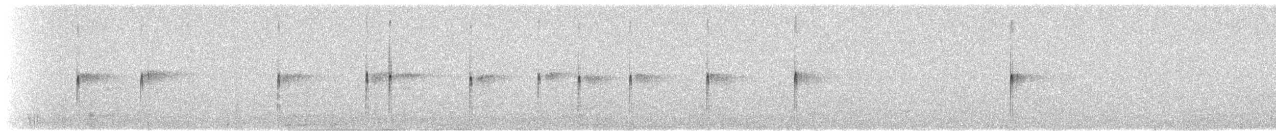 Black-fronted Dotterel - ML241582901