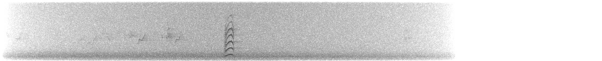 White-plumed Honeyeater - ML241583451