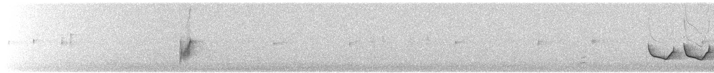 Restless Flycatcher - ML241583681