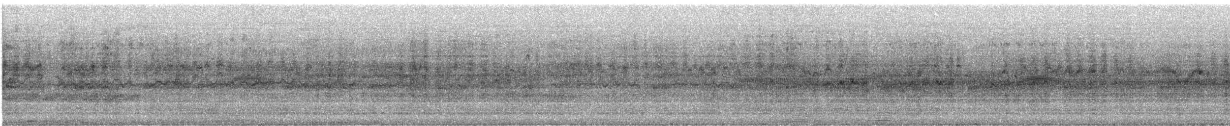 ムナジロアマツバメ - ML241588381