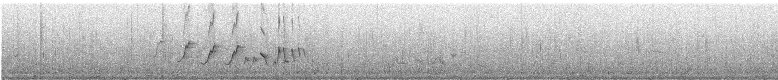 Mascarita Equinoccial (auricularis/peruviana) - ML241589