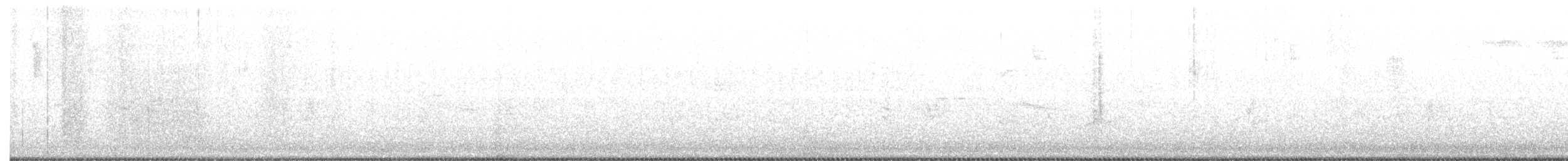 ユキヒメドリ（oreganus グループ） - ML241591071