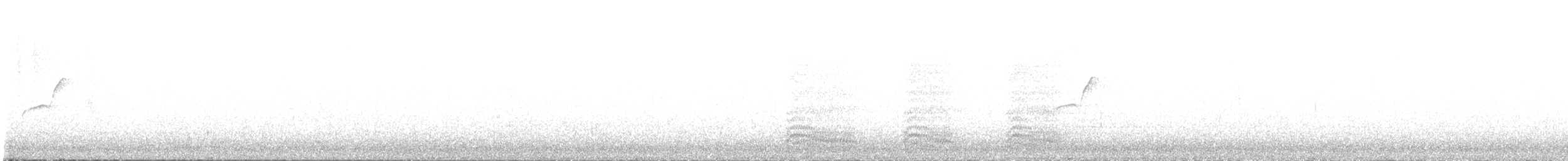 Western Flycatcher - ML241594591