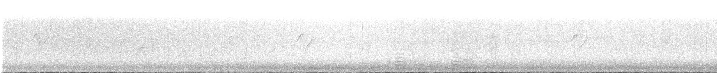 Western Flycatcher - ML241594631