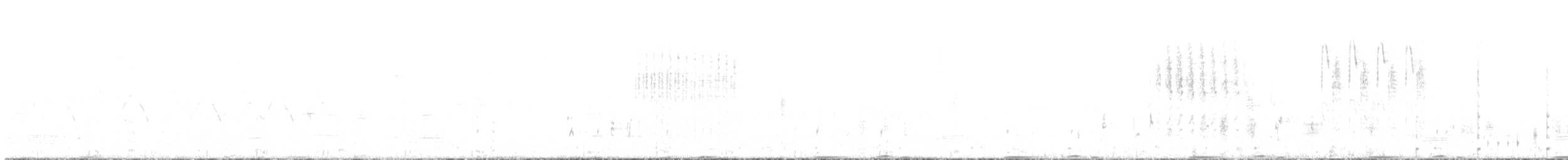 amerikarørdrum - ML241595301