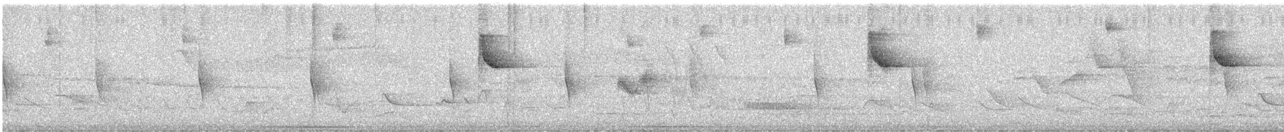 Paruline à paupières blanches - ML241595331