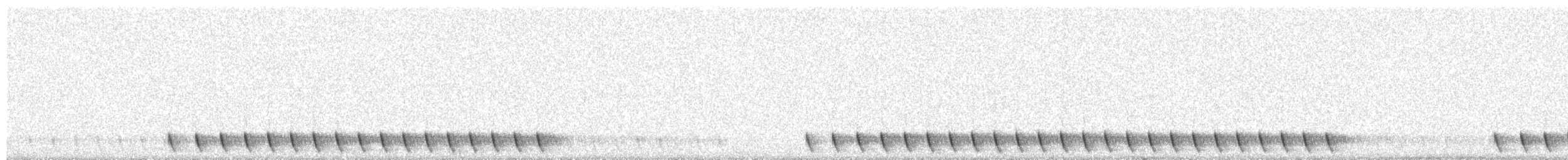 Gray Nightjar - ML241603391