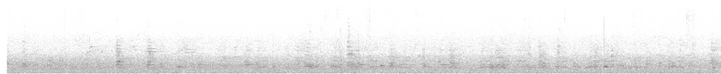 Australian Ibis - ML241615541