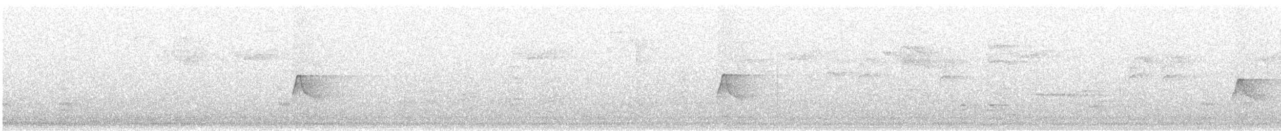 Acadian Flycatcher - ML241616211