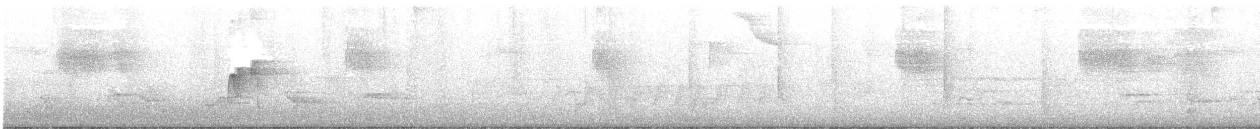 Acadian Flycatcher - ML241616441
