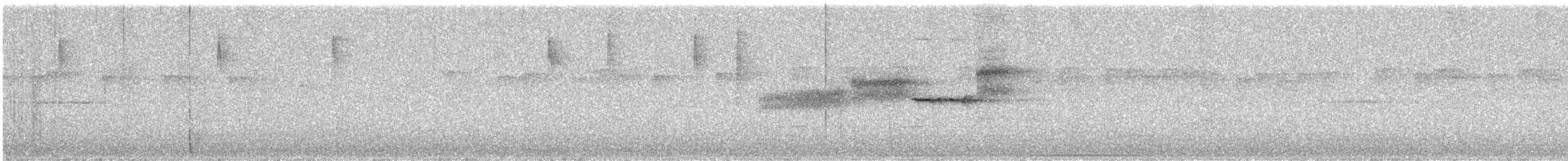 ノドグロミドリアメリカムシクイ - ML241630831