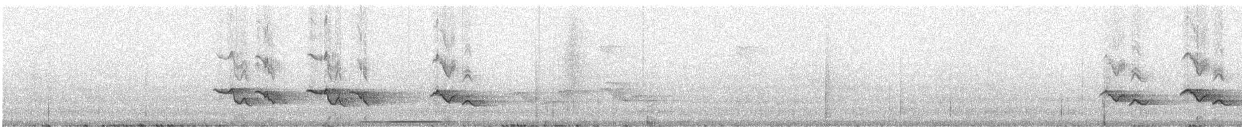 Merle de Reeve - ML241633