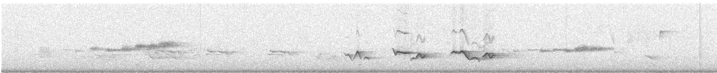 Merle de Reeve - ML241634