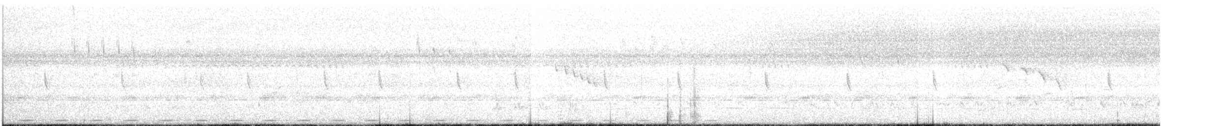 Forest Swallow - ML24163431