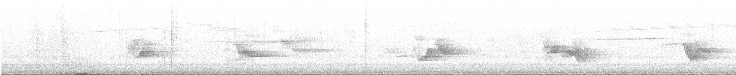 Дроздовый певун - ML241647421