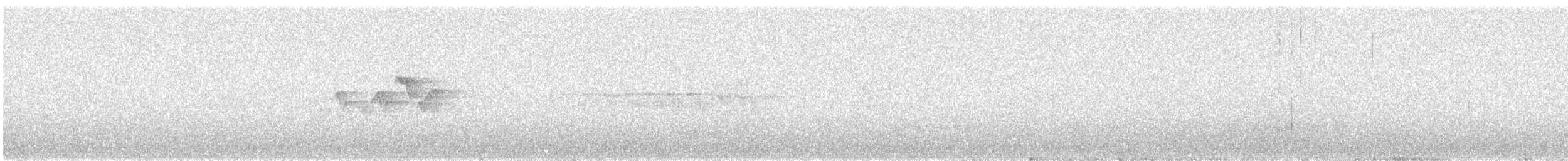 シロオビアメリカムシクイ - ML241648541