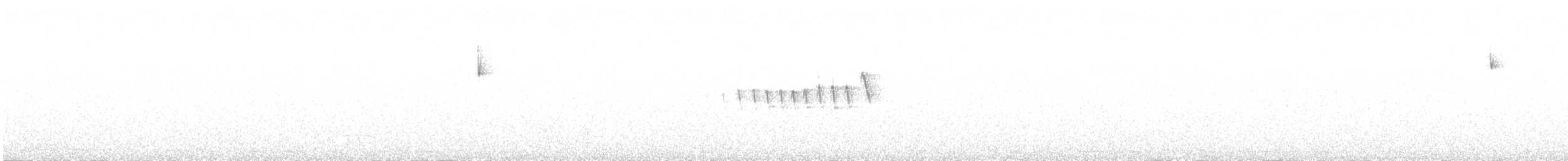 Lucy's Warbler - ML241648991
