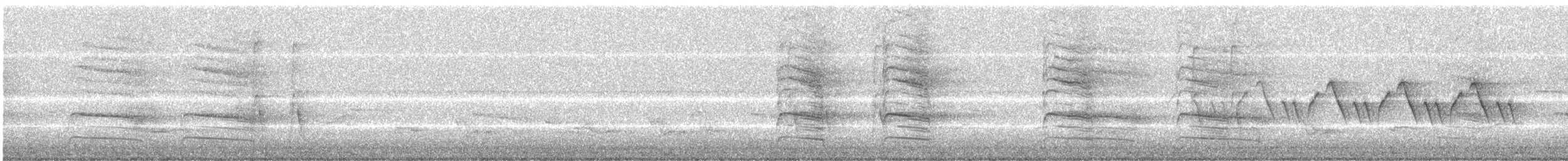 Blue Jay - ML241652481