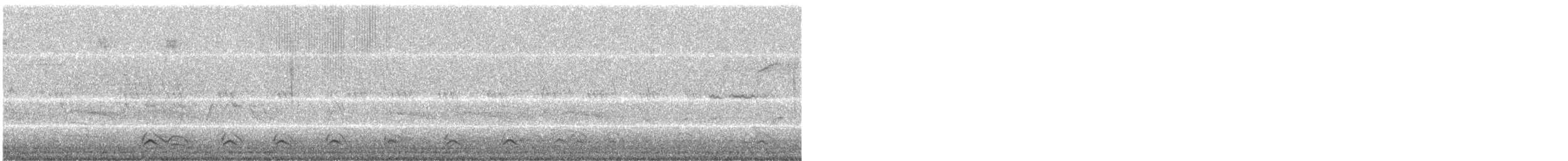 American Crow - ML241652591