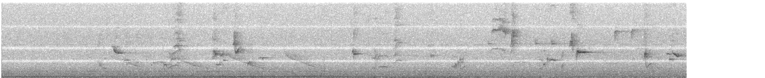 Gray Catbird - ML241652811