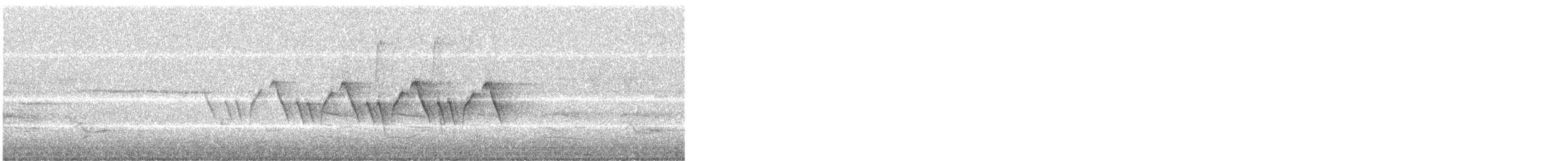 Common Yellowthroat - ML241653001