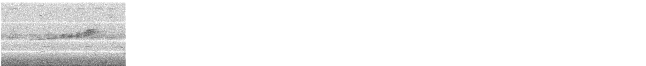 Prairie Warbler - ML241653121