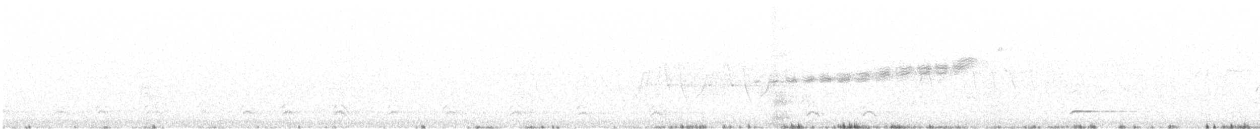 Northern Bobwhite - ML241653801