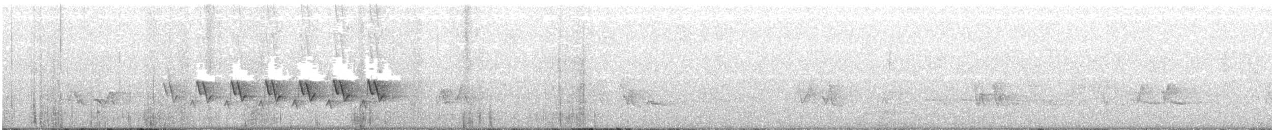 Kentucky Warbler - ML241654401