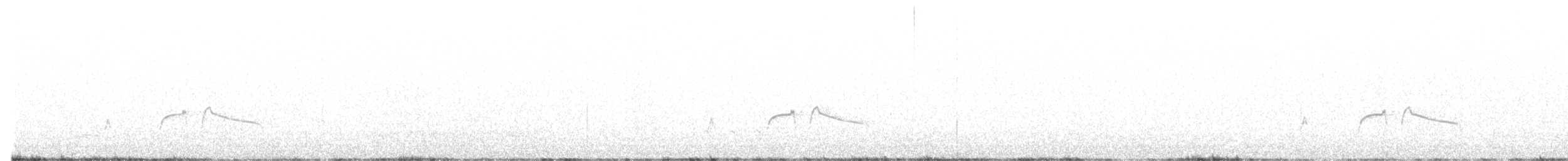 Olivflanken-Schnäppertyrann - ML241655231