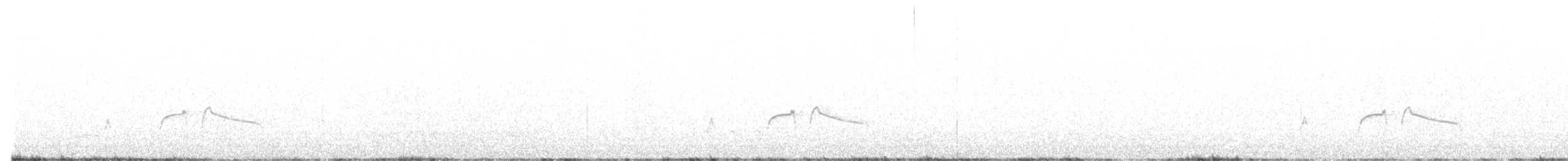 jakkepivi - ML241655231