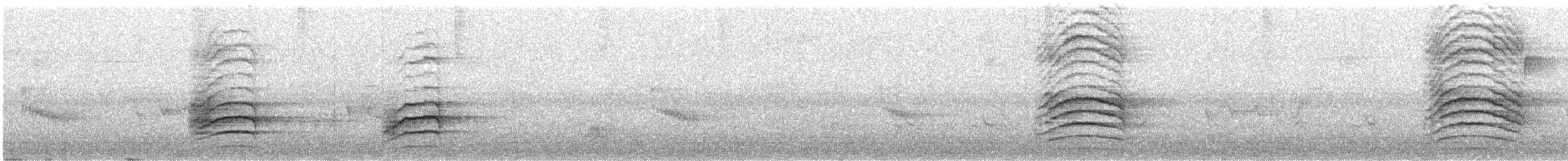 Пересмішник сірий - ML241663131