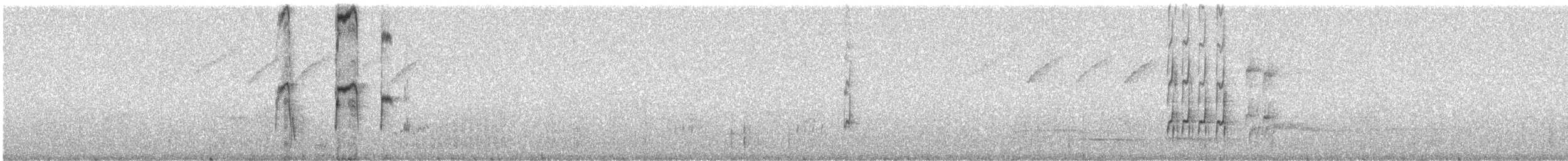 Olivrücken-Baumschlüpfer (antisiensis/palamblae) - ML241676