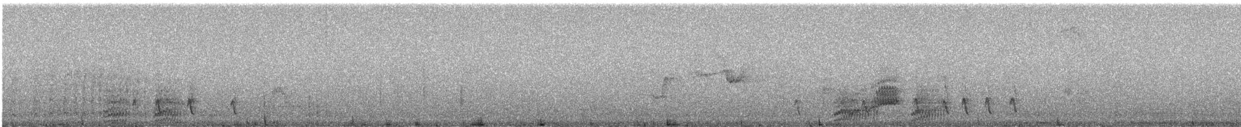 Élénie obscure - ML241679