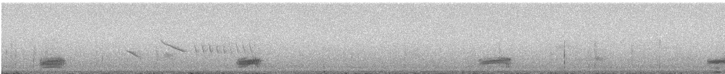 Élénie obscure - ML241680