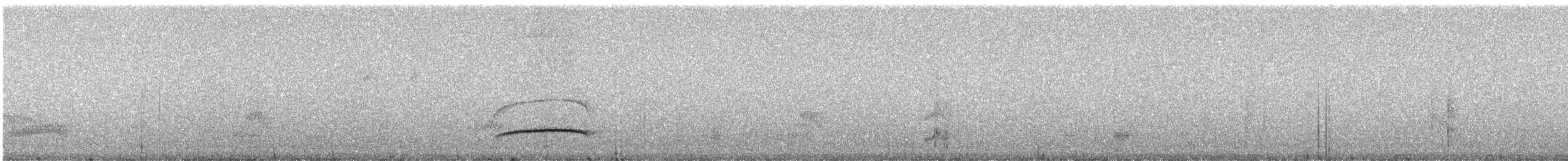 Темноголовый миарх (nigriceps/atriceps) - ML241681