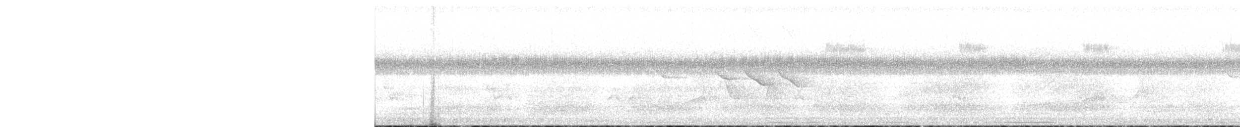 Paruline de Swainson - ML241681971