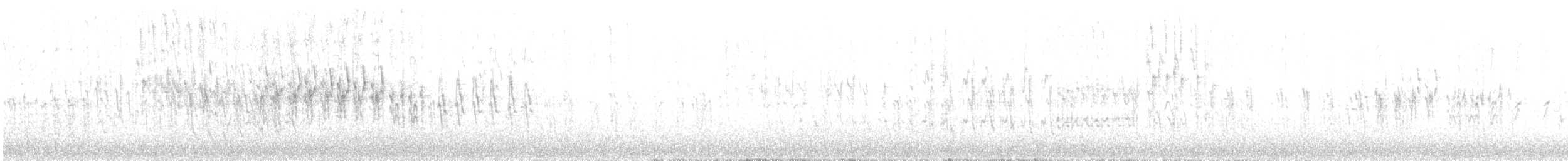 křivka bělokřídlá - ML241688291