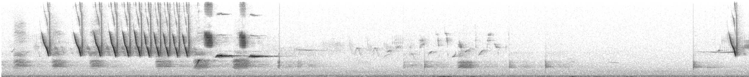 Song Sparrow - ML241695281