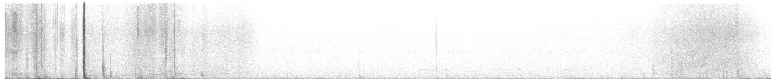 Winternachtschwalbe - ML241711681