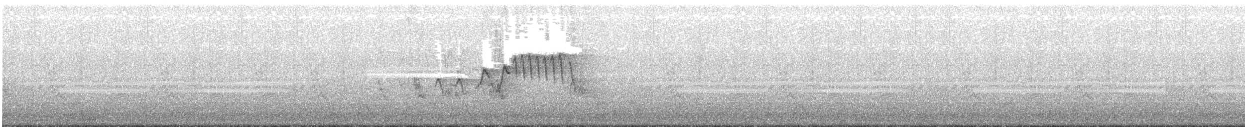 Yellow Warbler - ML241719641