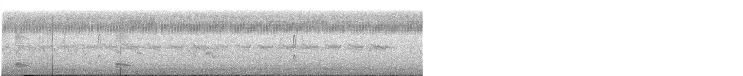 Cava Islıkçı Ördeği - ML241736121