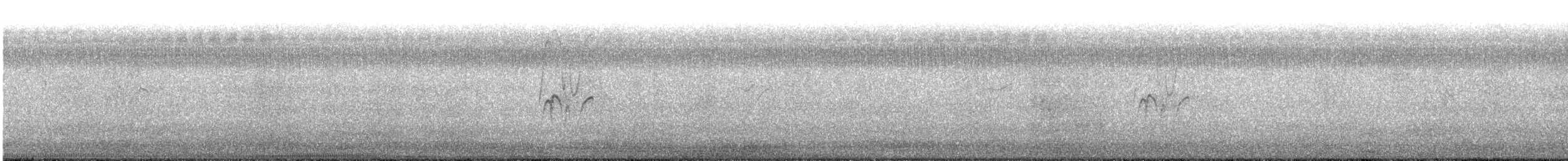 Dendrocygne siffleur - ML241738681