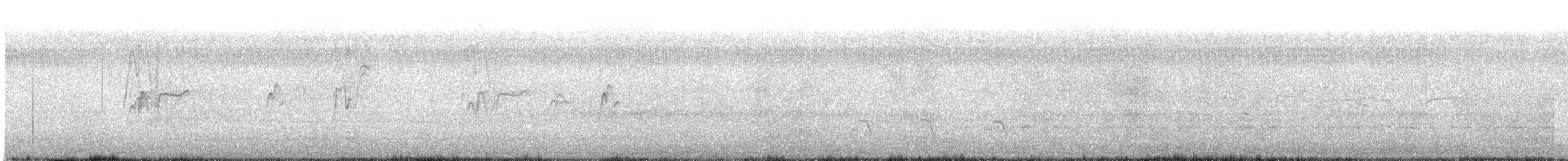 Dendrocygne siffleur - ML241739491