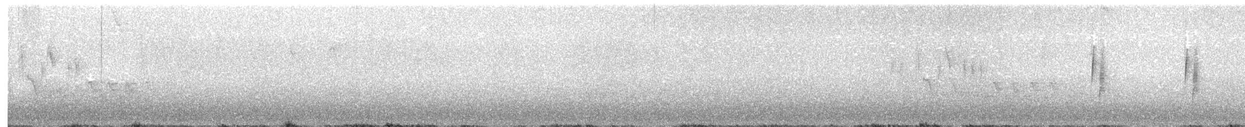 Küçük Boreal Sinekkapan - ML241748821