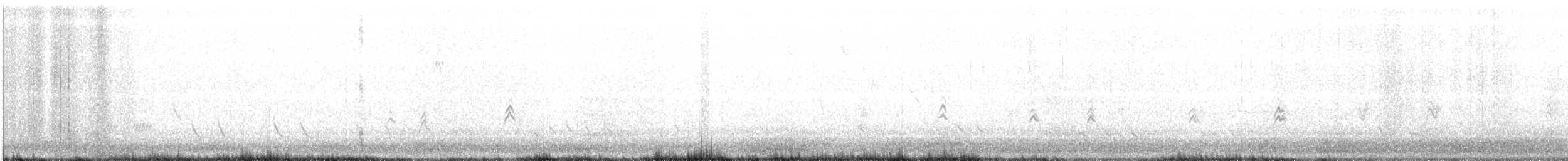 Northern Mockingbird - ML241750351
