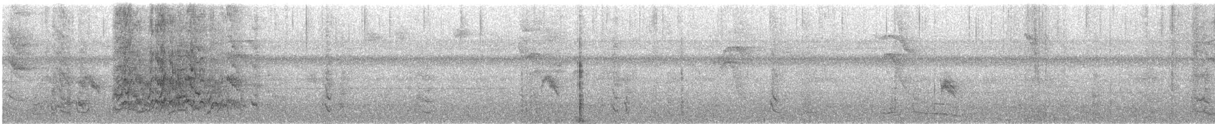 ズアカウロコインコ - ML241751911