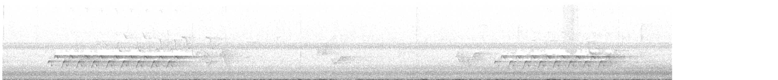 Carolina Wren - ML241757921