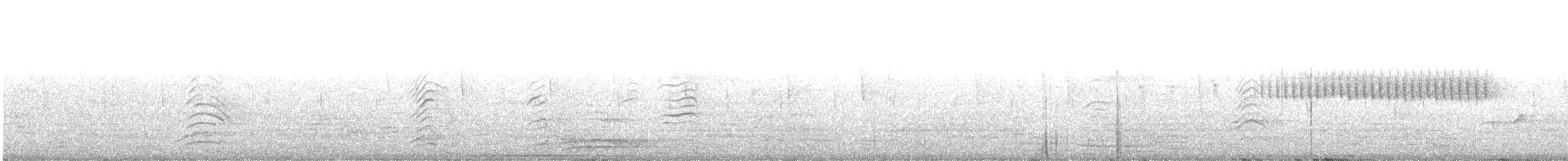 Малая воробьиная овсянка - ML241760971